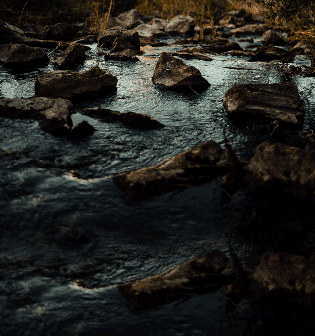 2.gif
